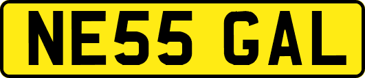 NE55GAL
