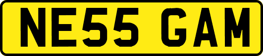 NE55GAM