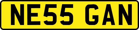 NE55GAN