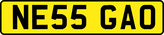NE55GAO