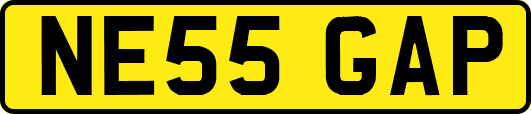 NE55GAP