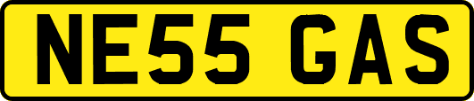 NE55GAS