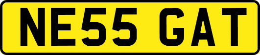 NE55GAT