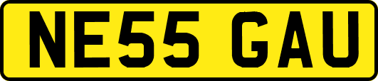 NE55GAU