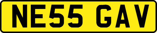 NE55GAV
