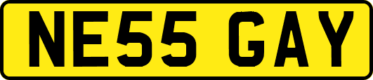 NE55GAY