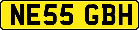 NE55GBH