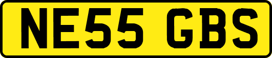 NE55GBS