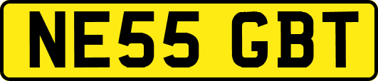 NE55GBT