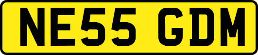 NE55GDM