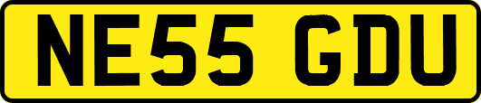 NE55GDU