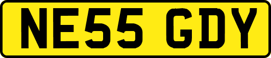NE55GDY