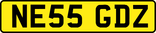 NE55GDZ