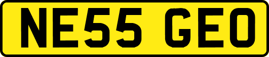 NE55GEO