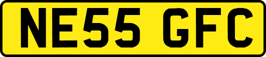 NE55GFC
