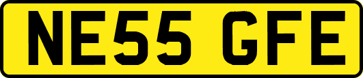 NE55GFE