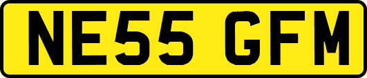 NE55GFM