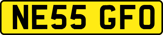 NE55GFO