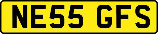 NE55GFS