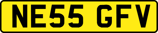 NE55GFV