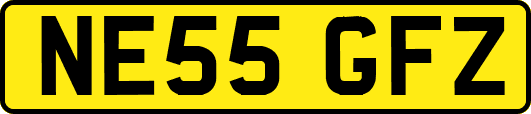 NE55GFZ