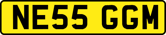 NE55GGM