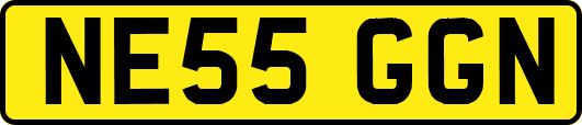 NE55GGN