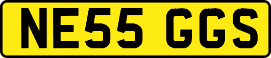 NE55GGS