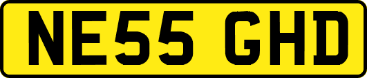 NE55GHD