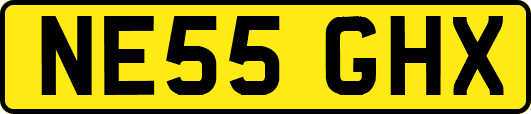 NE55GHX