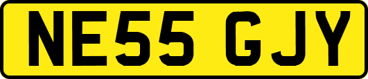 NE55GJY