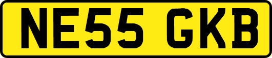 NE55GKB