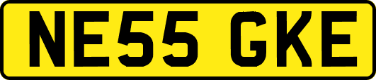 NE55GKE