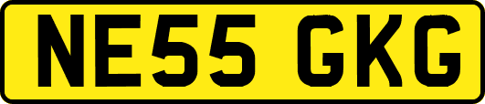 NE55GKG