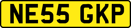 NE55GKP