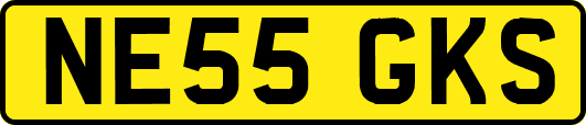 NE55GKS