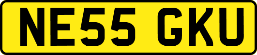 NE55GKU