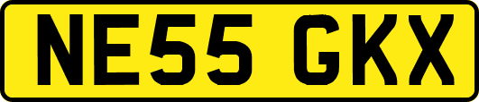 NE55GKX