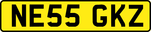 NE55GKZ