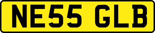 NE55GLB