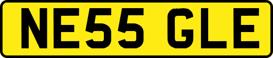 NE55GLE