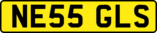NE55GLS