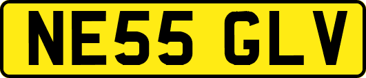 NE55GLV