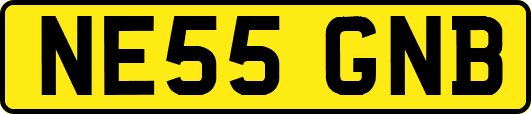 NE55GNB