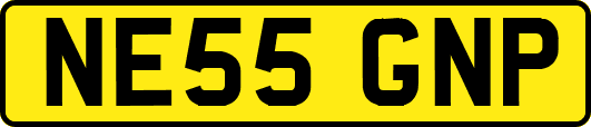 NE55GNP
