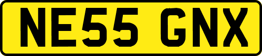 NE55GNX