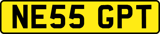 NE55GPT