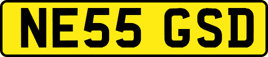NE55GSD