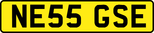 NE55GSE