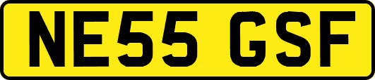 NE55GSF